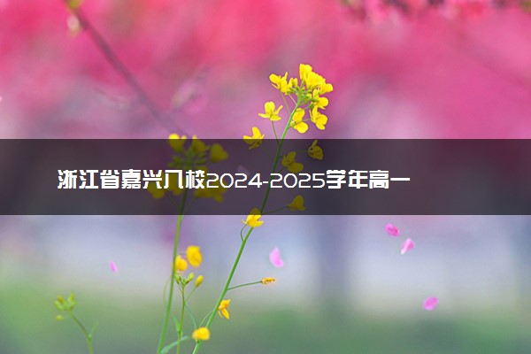 浙江省嘉兴八校2024-2025学年高一期中试题及答案汇总