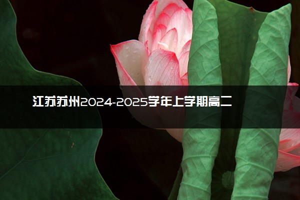 江苏苏州2024-2025学年上学期高二期中试题及答案汇总