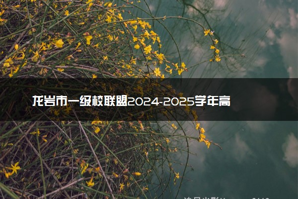 龙岩市一级校联盟2024-2025学年高二上学期11月期中联考试题及答案汇总