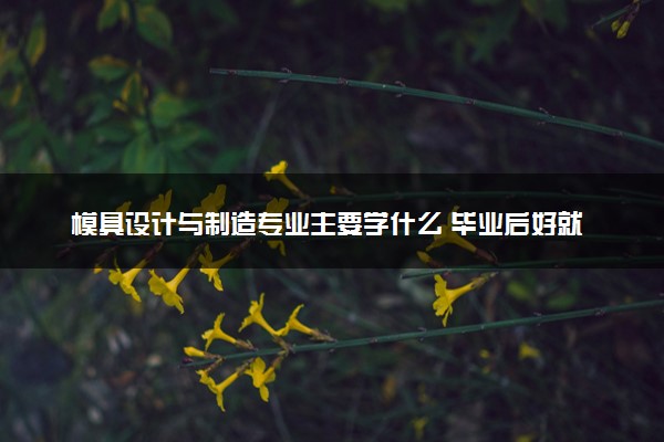 模具设计与制造专业主要学什么 毕业后好就业吗