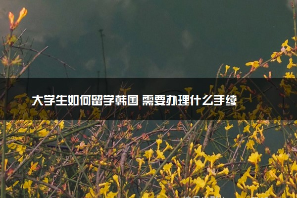 大学生如何留学韩国 需要办理什么手续