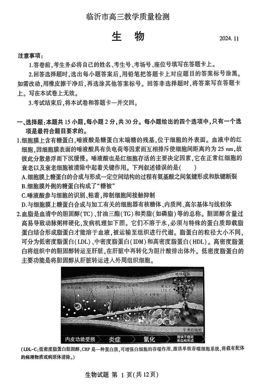 山东临沂2025届高三上学期11月期中质检生物试题及答案