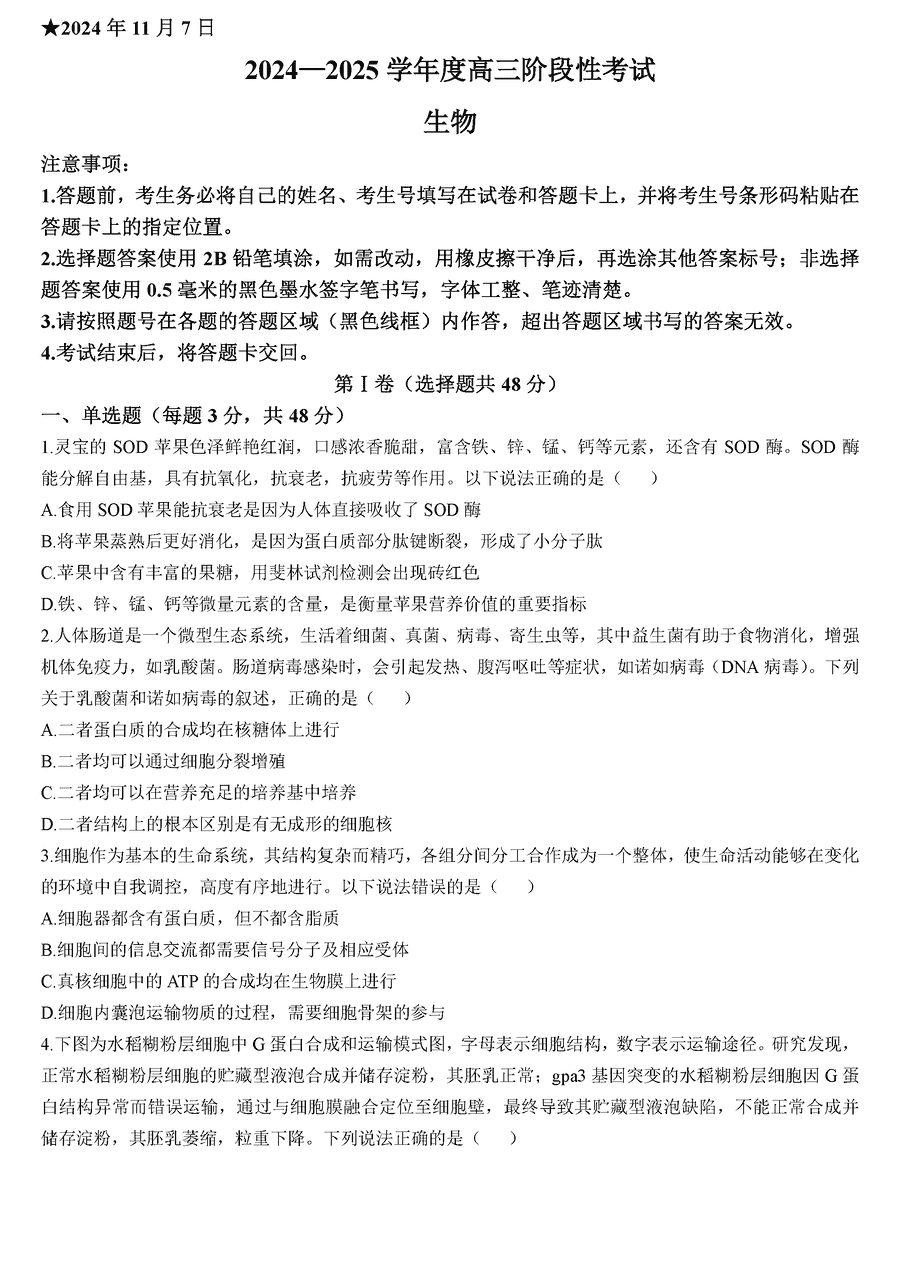 河南三门峡2024-2025学年高三上学期11月期中生物试题及答案