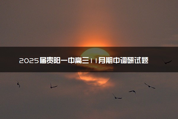 2025届贵阳一中高三11月期中调研试题及答案汇总