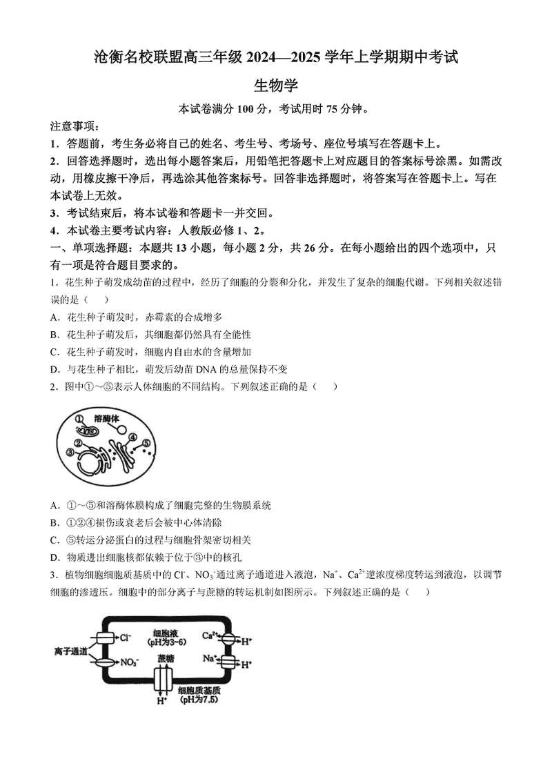 河北沧衡名校联盟2025届高三上学期11月期中生物试题及答案