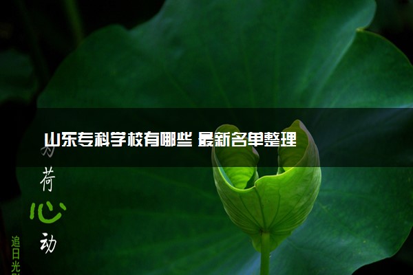 山东专科学校有哪些 最新名单整理