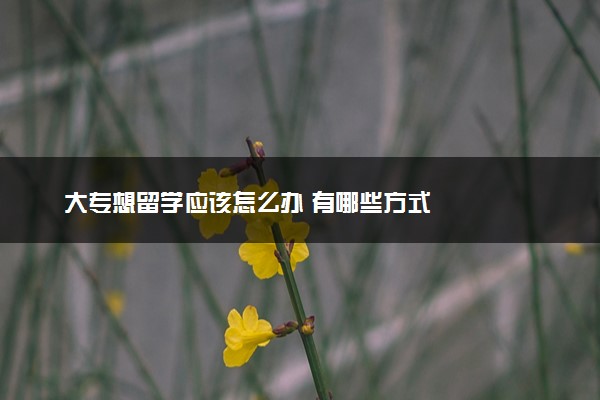 大专想留学应该怎么办 有哪些方式