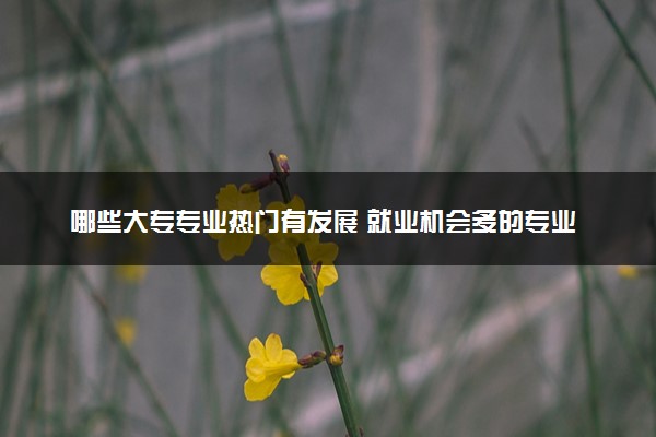 哪些大专专业热门有发展 就业机会多的专业推荐