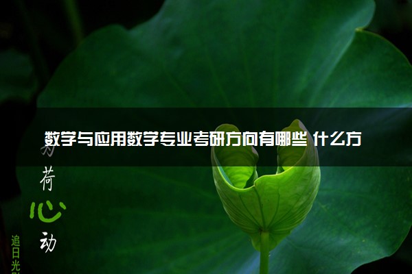 数学与应用数学专业考研方向有哪些 什么方向好