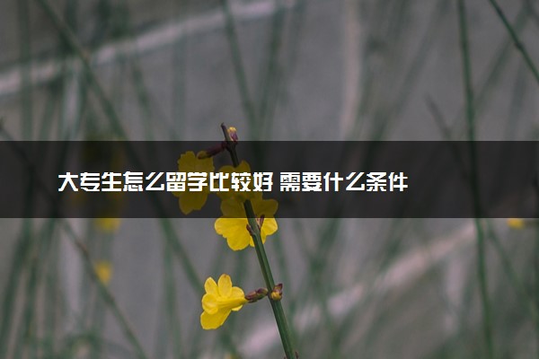 大专生怎么留学比较好 需要什么条件