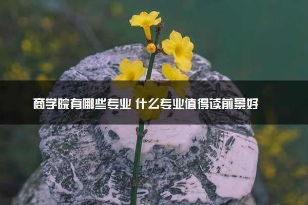 商学院有哪些专业 什么专业值得读前景好