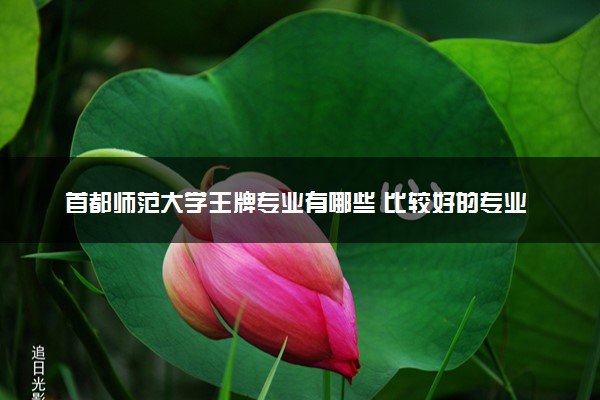 首都师范大学王牌专业有哪些 比较好的专业推荐