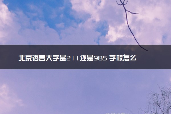 北京语言大学是211还是985 学校怎么样