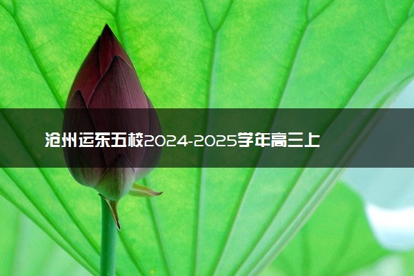 沧州运东五校2024-2025学年高三上学期11月期中试题及答案汇总