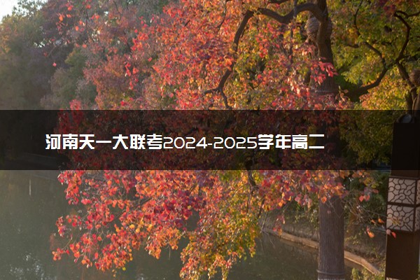 河南天一大联考2024-2025学年高二上学期11月期中试题及答案汇总