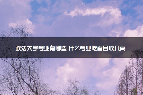 政法大学专业有哪些 什么专业吃香且收入高