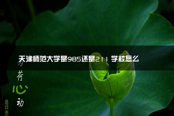 天津师范大学是985还是211 学校怎么样