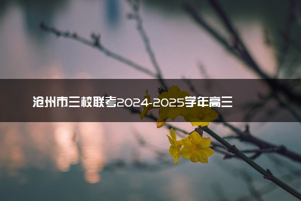 沧州市三校联考2024-2025学年高三上学期11月期中试题及答案汇总