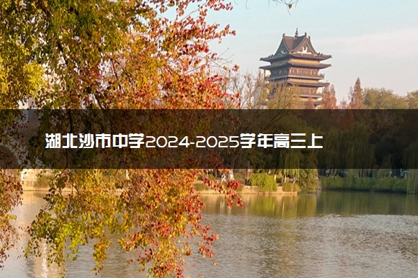 湖北沙市中学2024-2025学年高三上学期11月月考试题及答案汇总