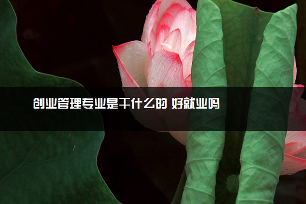 创业管理专业是干什么的 好就业吗