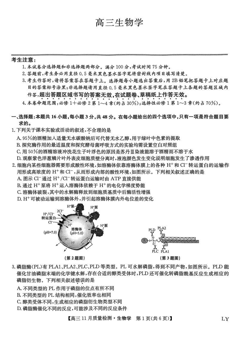 九师联盟2025届高三上学期11月联考生物试题及答案