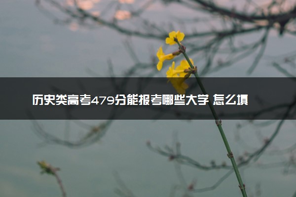 历史类高考479分能报考哪些大学 怎么填报志愿