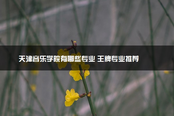 天津音乐学院有哪些专业 王牌专业推荐