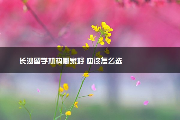 长沙留学机构哪家好 应该怎么选