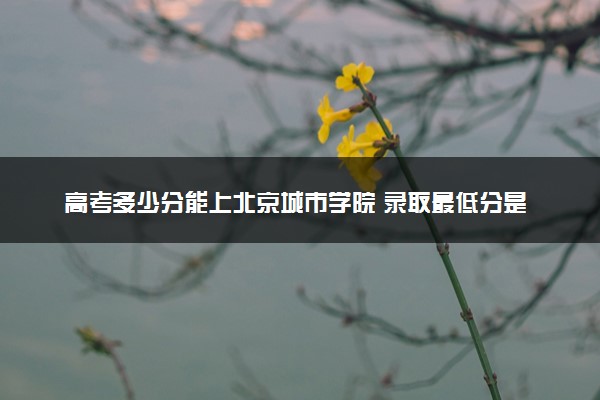 高考多少分能上北京城市学院 录取最低分是多少（2025参考）