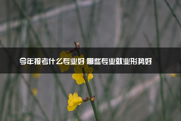 今年报考什么专业好 哪些专业就业形势好