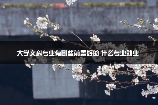 大学文科专业有哪些前景好的 什么专业就业率高