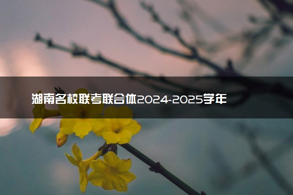 湖南名校联考联合体2024-2025学年高三上学期第四次联考试题及答案汇总