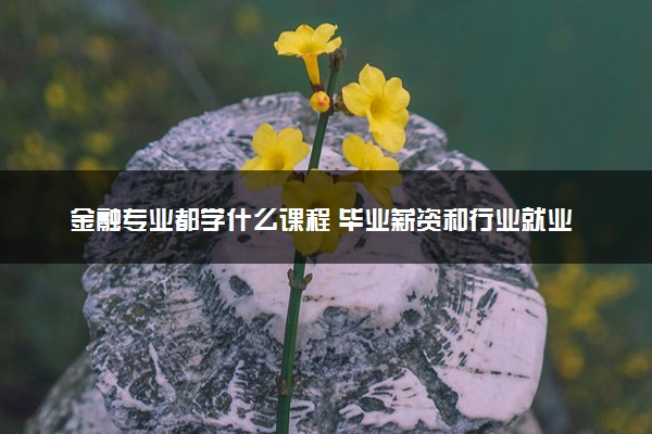 金融专业都学什么课程 毕业薪资和行业就业情况分析