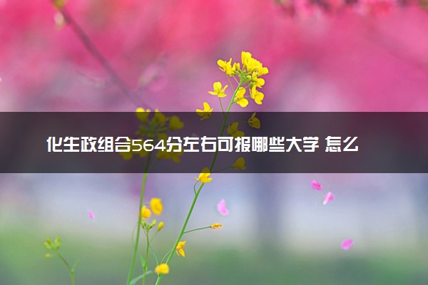 化生政组合564分左右可报哪些大学 怎么填报志愿