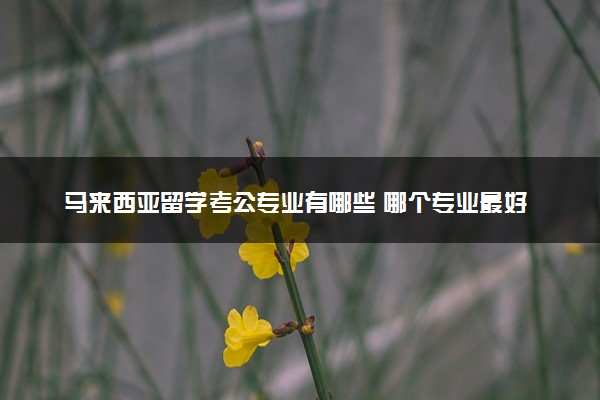 马来西亚留学考公专业有哪些 哪个专业最好