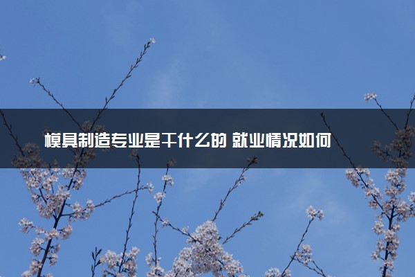 模具制造专业是干什么的 就业情况如何