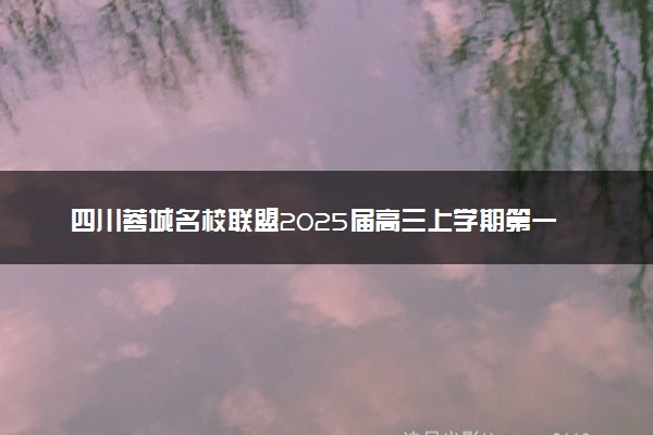 四川蓉城名校联盟2025届高三上学期第一次联合性诊断性考试试题及答案汇总