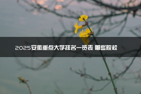 2025安徽重点大学排名一览表 哪些院校实力强