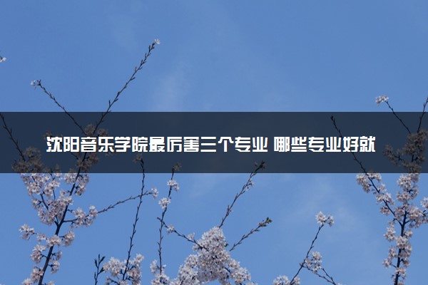 沈阳音乐学院最厉害三个专业 哪些专业好就业