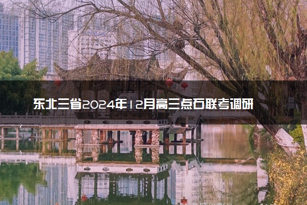 东北三省2024年12月高三点石联考调研测试试题及答案汇总