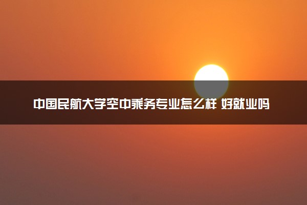 中国民航大学空中乘务专业怎么样 好就业吗