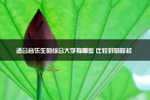 适合音乐生的综合大学有哪些 比较好的院校推荐