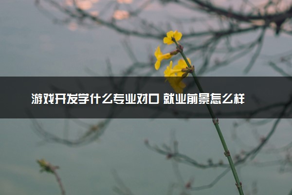 游戏开发学什么专业对口 就业前景怎么样