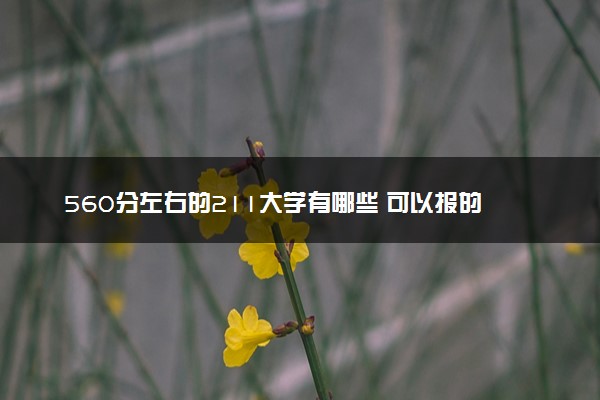 560分左右的211大学有哪些 可以报的院校推荐