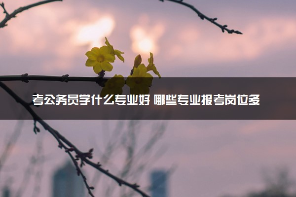 考公务员学什么专业好 哪些专业报考岗位多