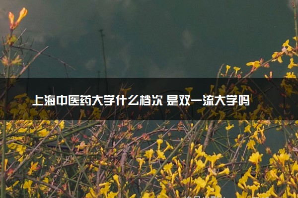 上海中医药大学什么档次 是双一流大学吗