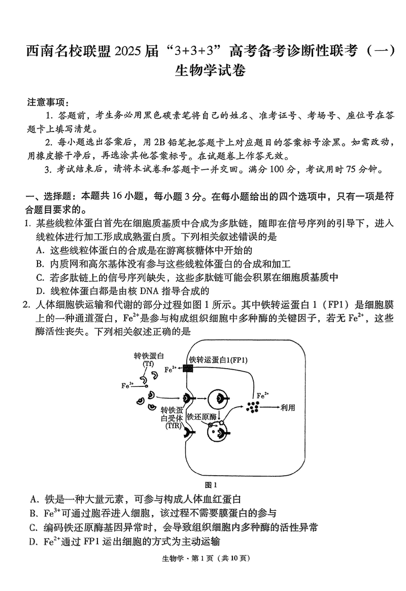 西南名校联盟2025届高三3+3+3诊断性联考（一）生物试题及答案