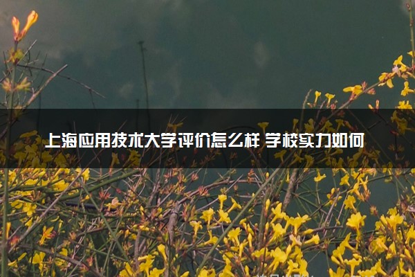 上海应用技术大学评价怎么样 学校实力如何