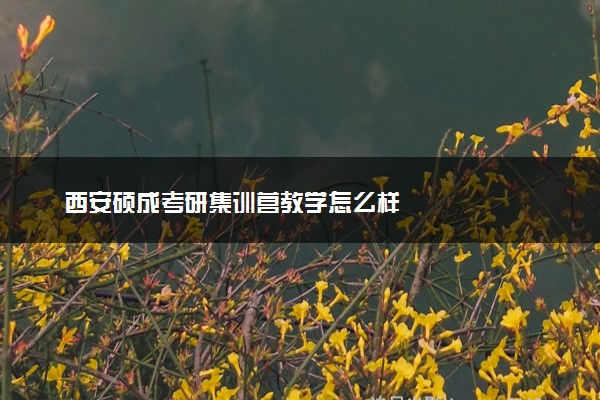 西安硕成考研集训营教学怎么样