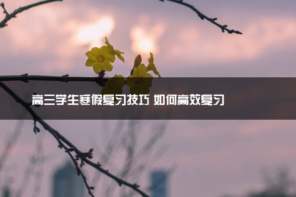 高三学生寒假复习技巧 如何高效复习